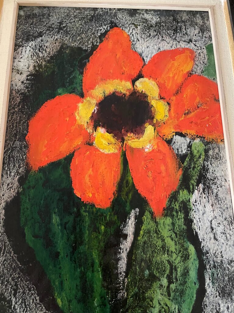 Schöne orange Blume Dahm Helen