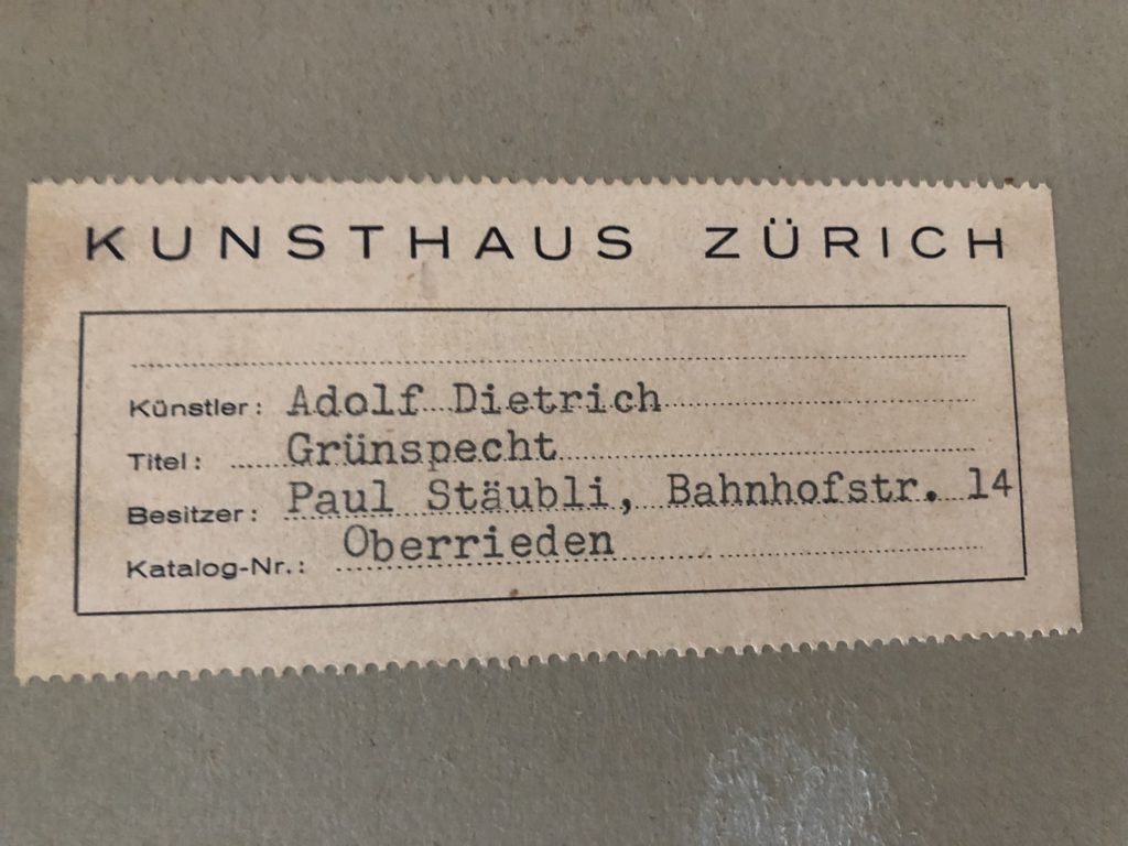 Grünspecht im Föhrenast Dietrich Adolf