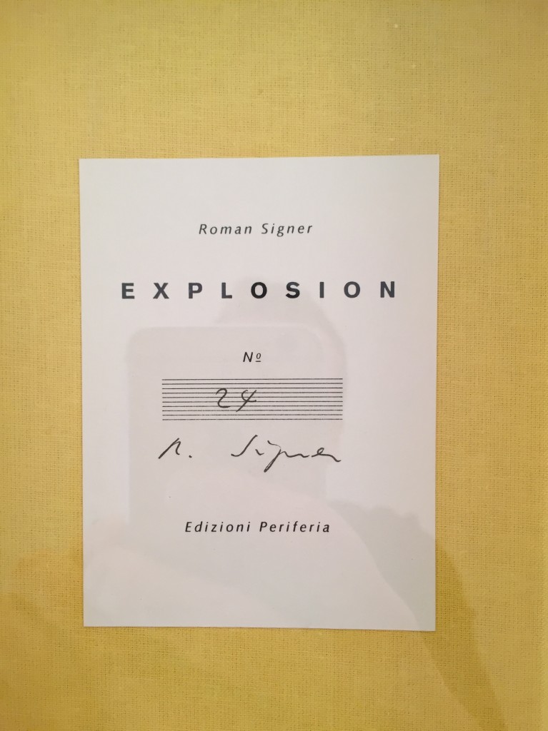 Explosion 1993 Signer Roman