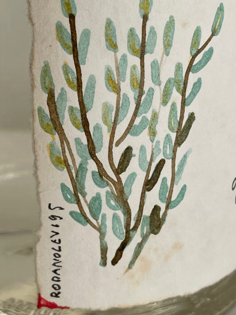 Bemalte Flasche mit grünen Blättern und Sternen Levi Romano